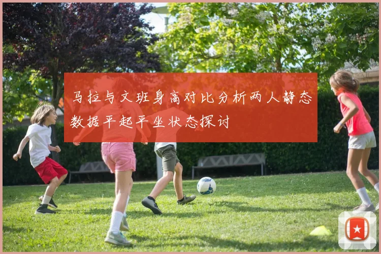 马拉与文班身高对比分析两人静态数据平起平坐状态探讨