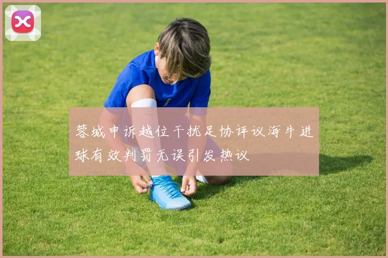 蓉城申诉越位干扰足协评议海牛进球有效判罚无误引发热议